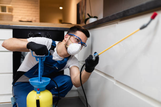 Best Pest Removal Services  in Landrum, SC