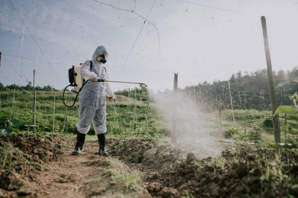 Best Best Pest Control Companies  in Landrum, SC