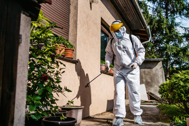 Best Pest Prevention Services  in Landrum, SC