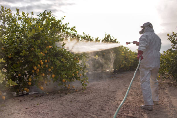 Best Pest Control for Homes  in Landrum, SC