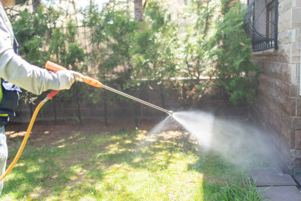 Best Flea Control Services  in Landrum, SC