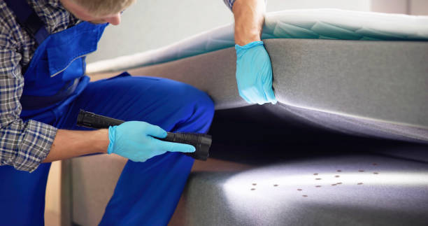 Best Cockroach Control Services  in Landrum, SC