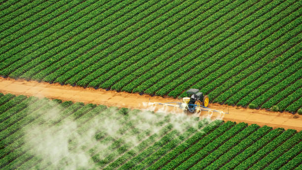 Reliable Landrum, SC Pest Control Solutions